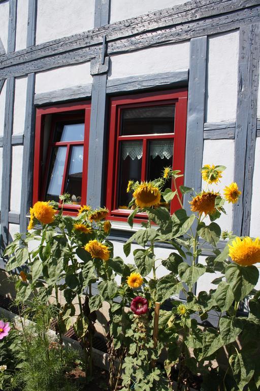 Cafe Landart Im Thueringer Finistere Apartment Plaue  Ngoại thất bức ảnh